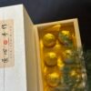 七阳固肾丸（缺货中）