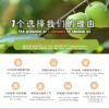 （1盒赚个吆喝）青梅精丸古法浓缩诏安之梅健康养生首选